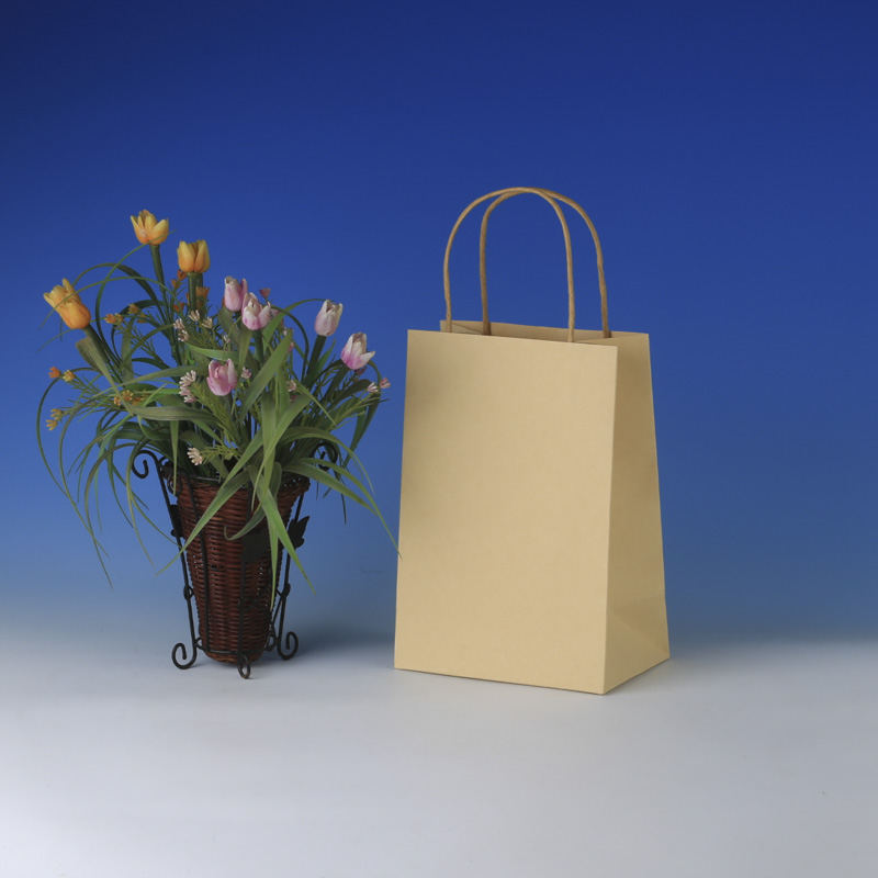 LS6039-HQ Small quality Kraft paper bag: Price @US$0.24/MOQ:5,000pcs