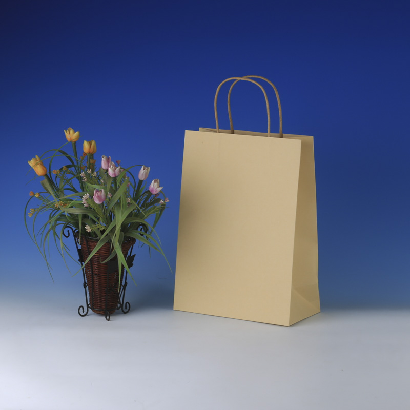 LS6040-HQ Med Kraft paper bag: Price @US$0.26/MOQ:5,000pcs