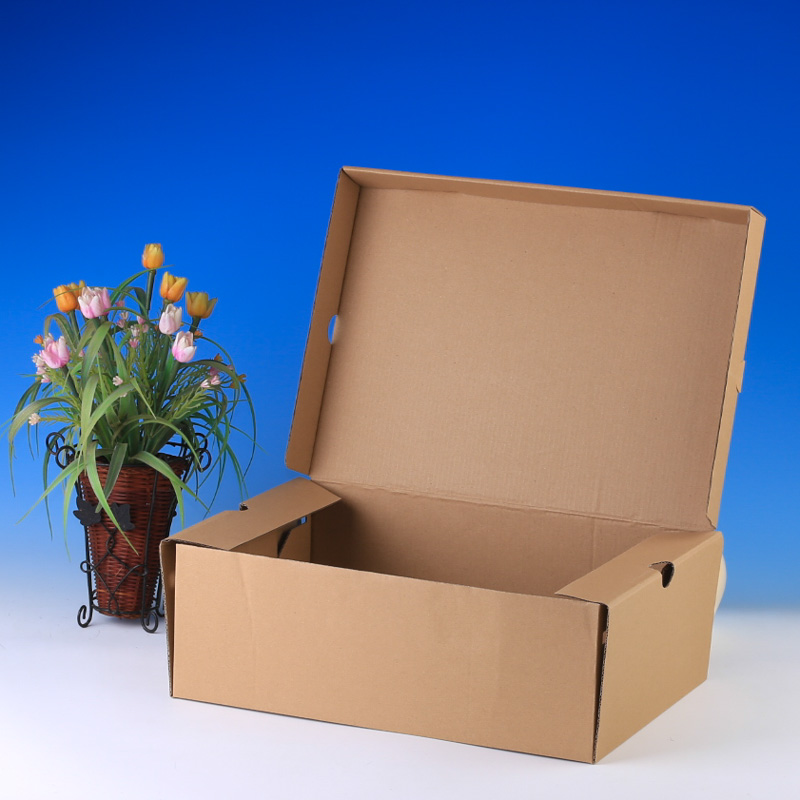 Brown kraft box open-1.jpg